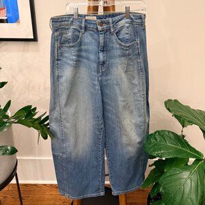 The Kenna Mid-Rise Heritage Barrel Jeans by Pilcro